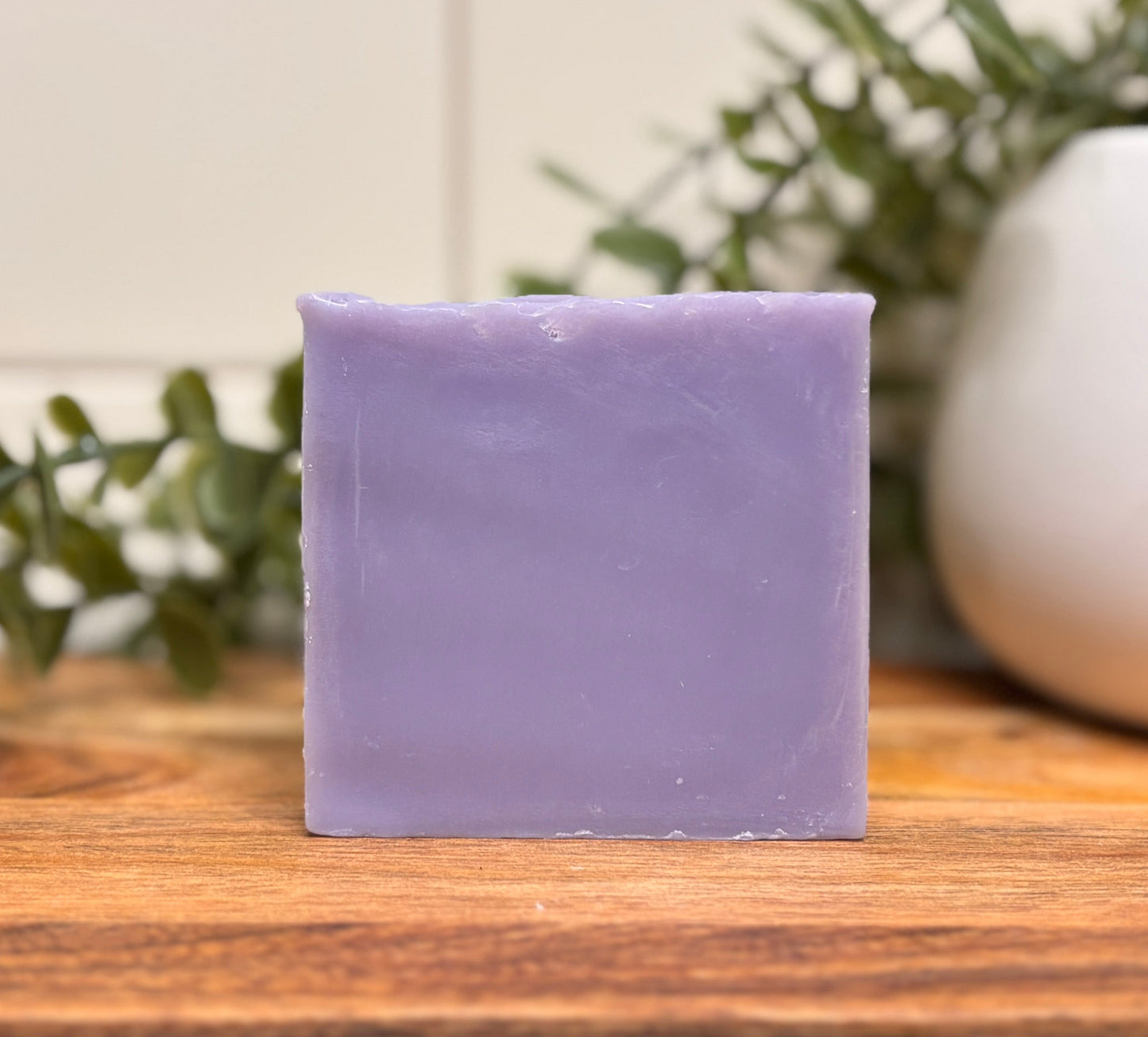 Australian Lavender